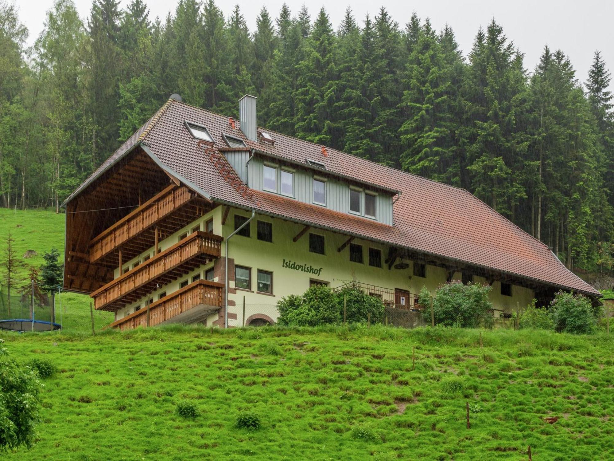 Cosy Farmhouse Apartment At The Edge Of The Forest Muehlenbach Exterior photo
