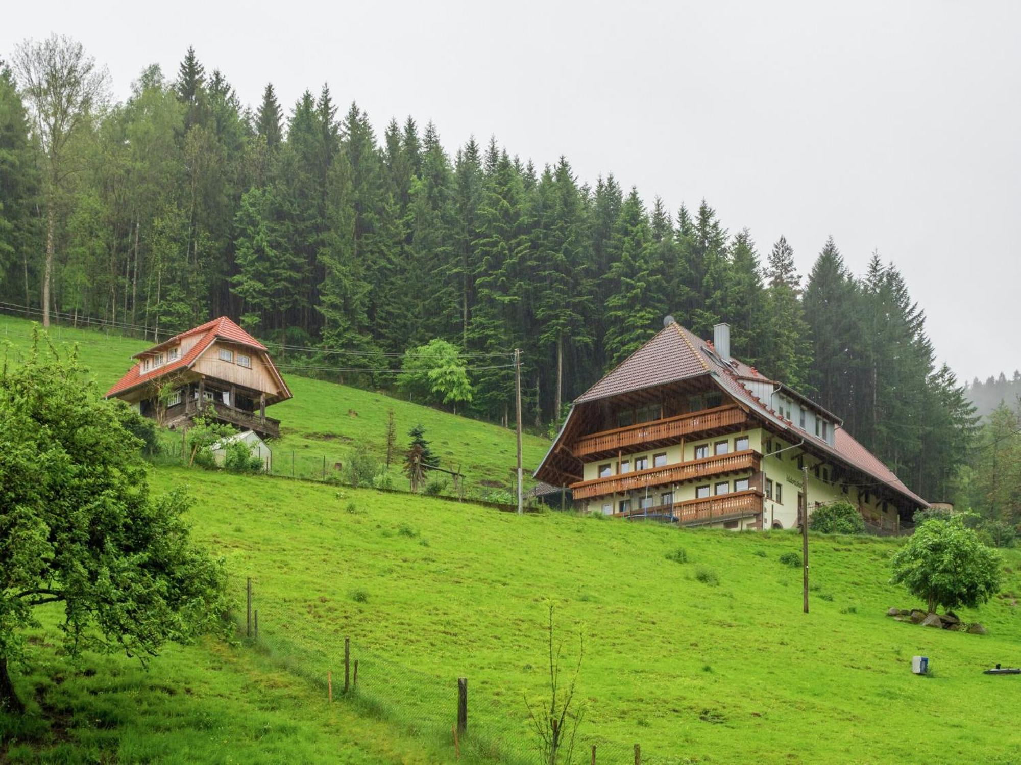 Cosy Farmhouse Apartment At The Edge Of The Forest Muehlenbach Exterior photo